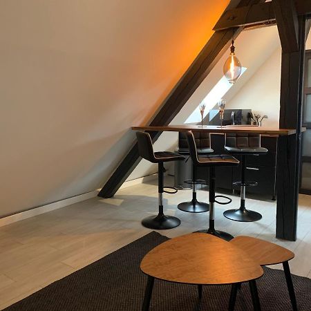 Cocoon Loft Apartman Colmar Kültér fotó