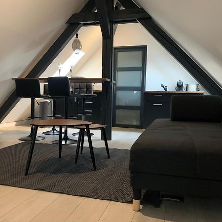 Cocoon Loft Apartman Colmar Kültér fotó
