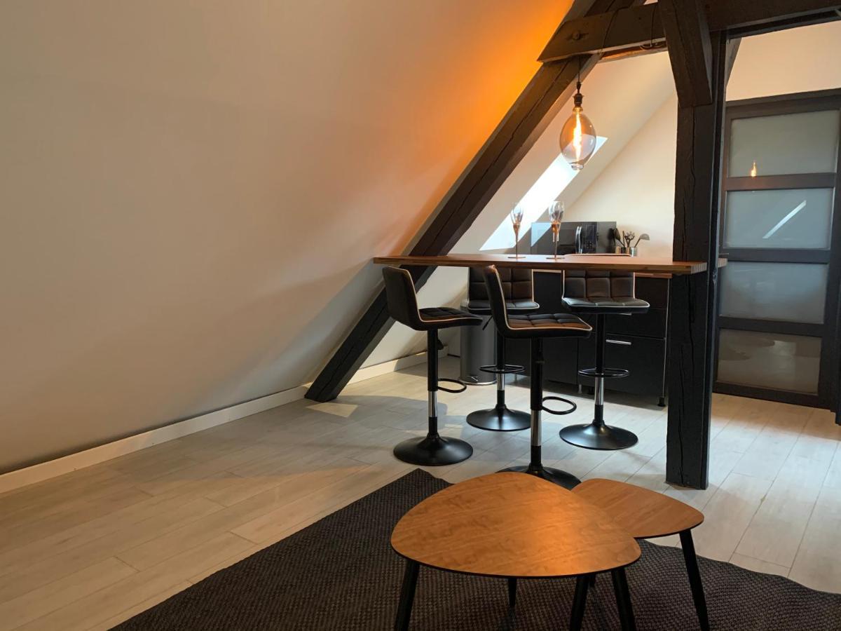 Cocoon Loft Apartman Colmar Kültér fotó