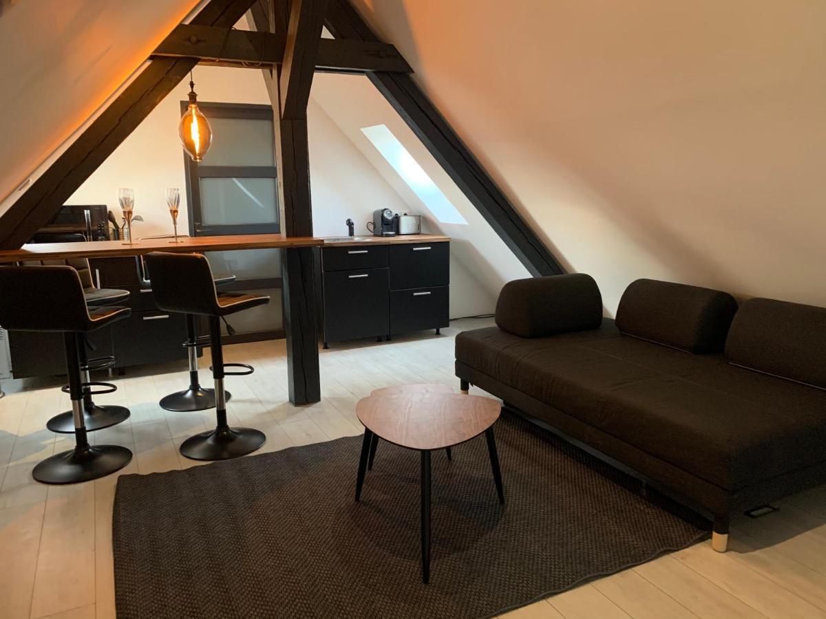 Cocoon Loft Apartman Colmar Kültér fotó