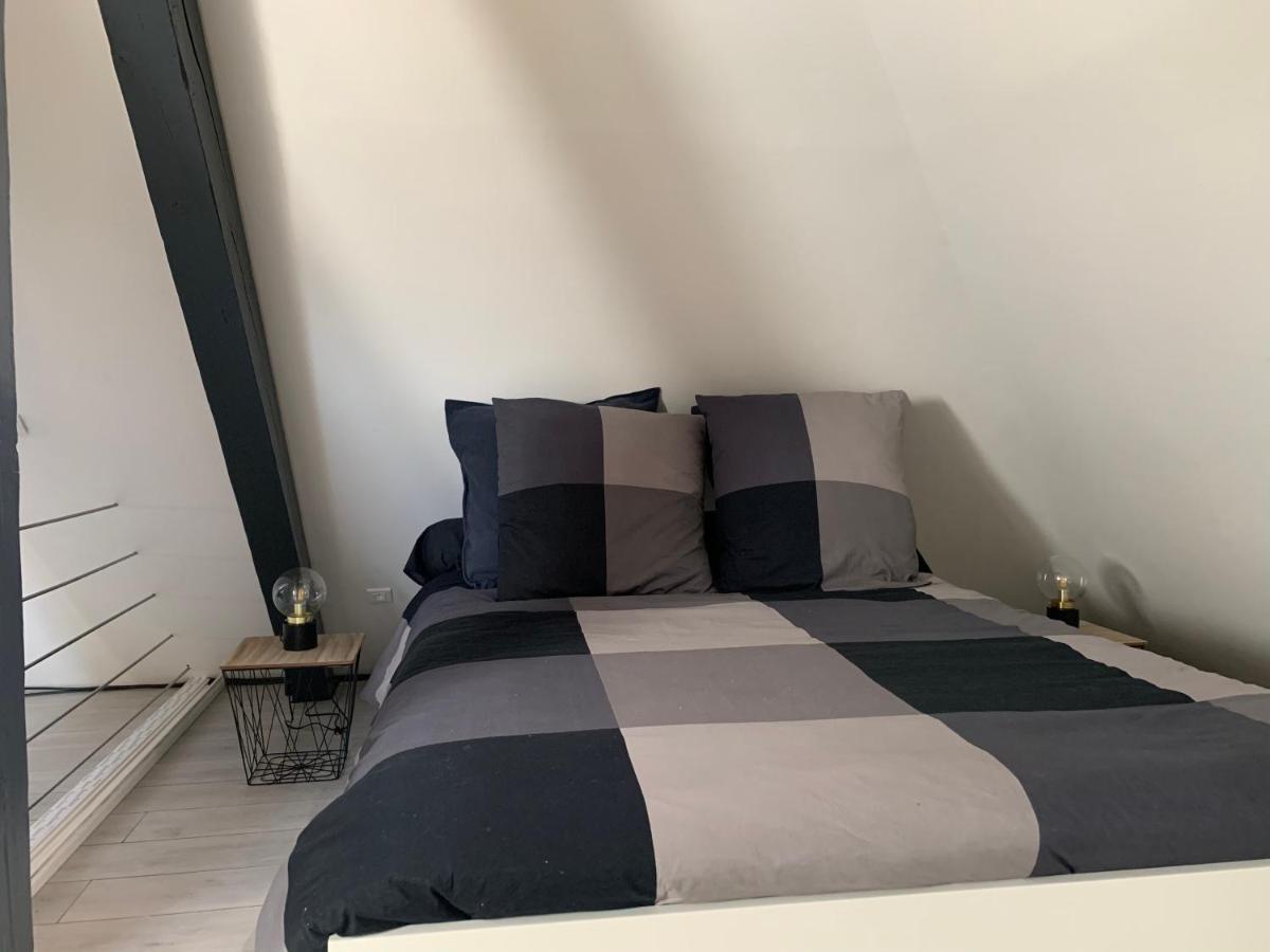 Cocoon Loft Apartman Colmar Kültér fotó