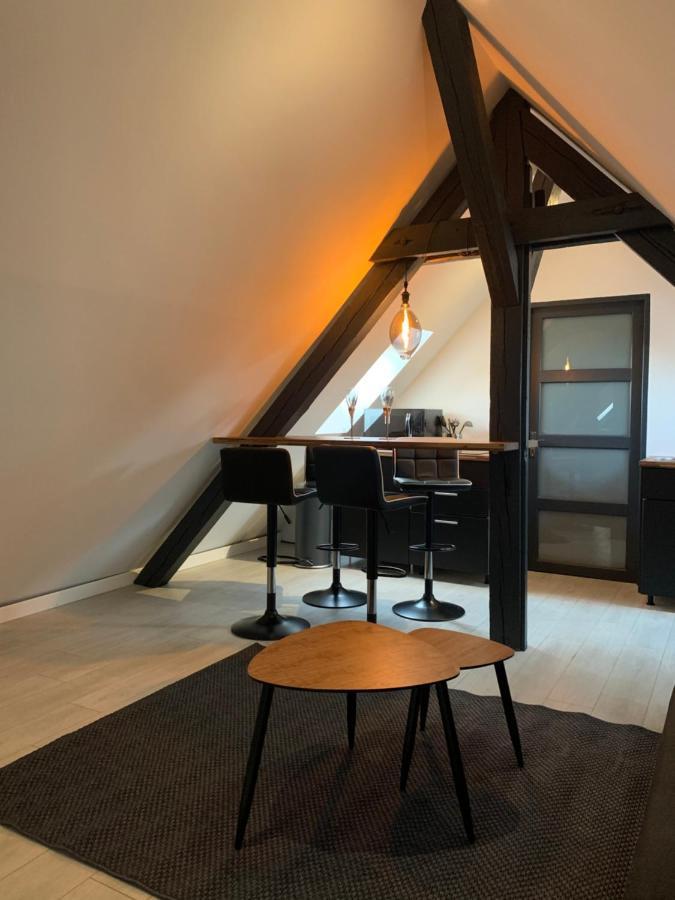Cocoon Loft Apartman Colmar Kültér fotó