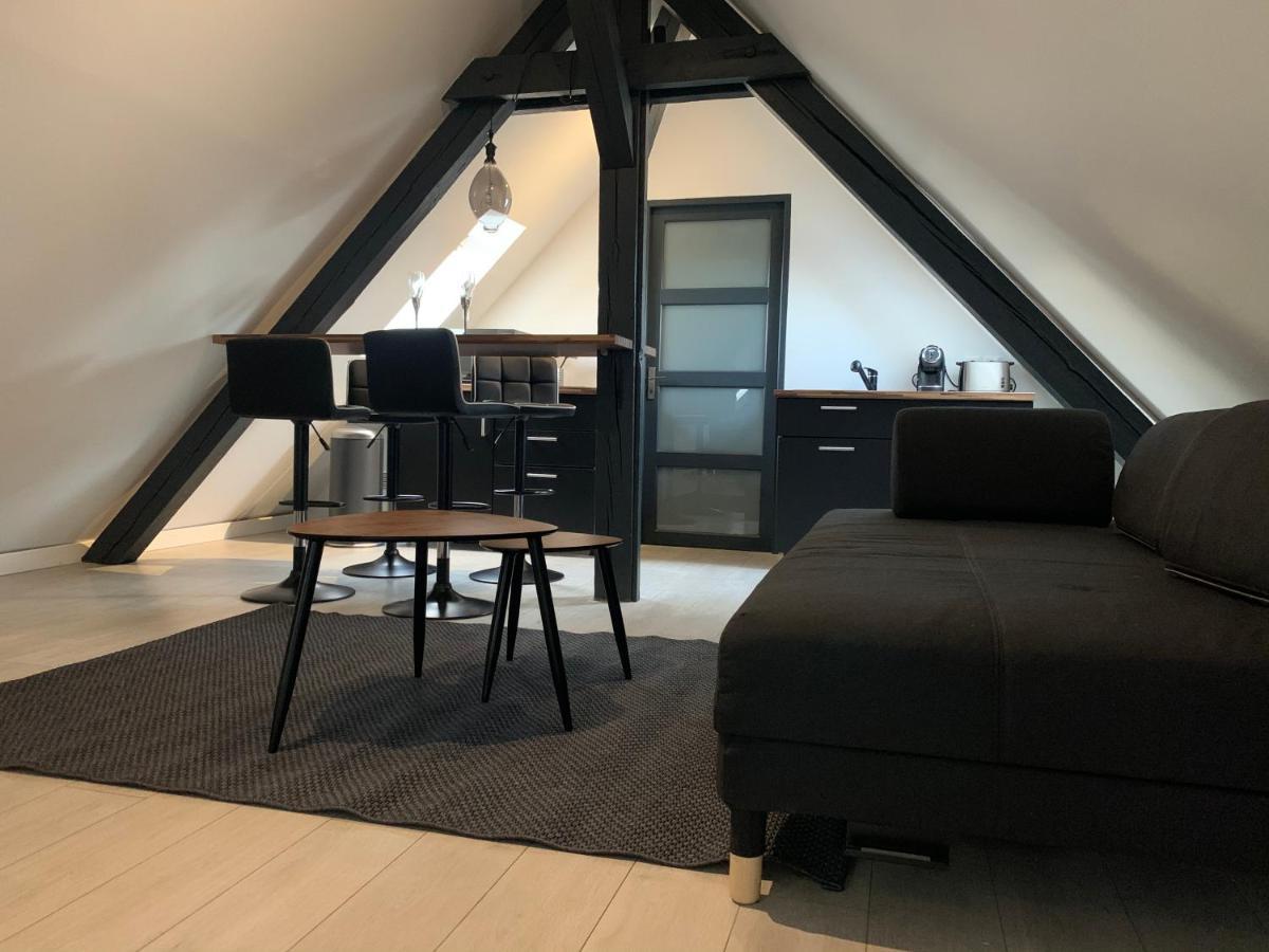 Cocoon Loft Apartman Colmar Kültér fotó