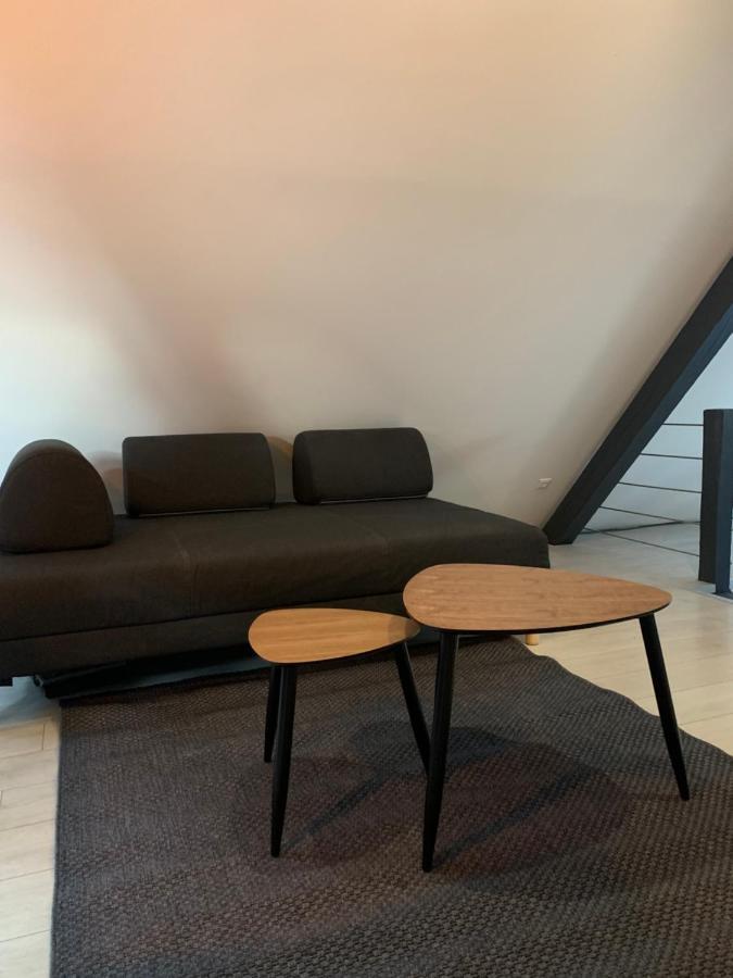 Cocoon Loft Apartman Colmar Kültér fotó