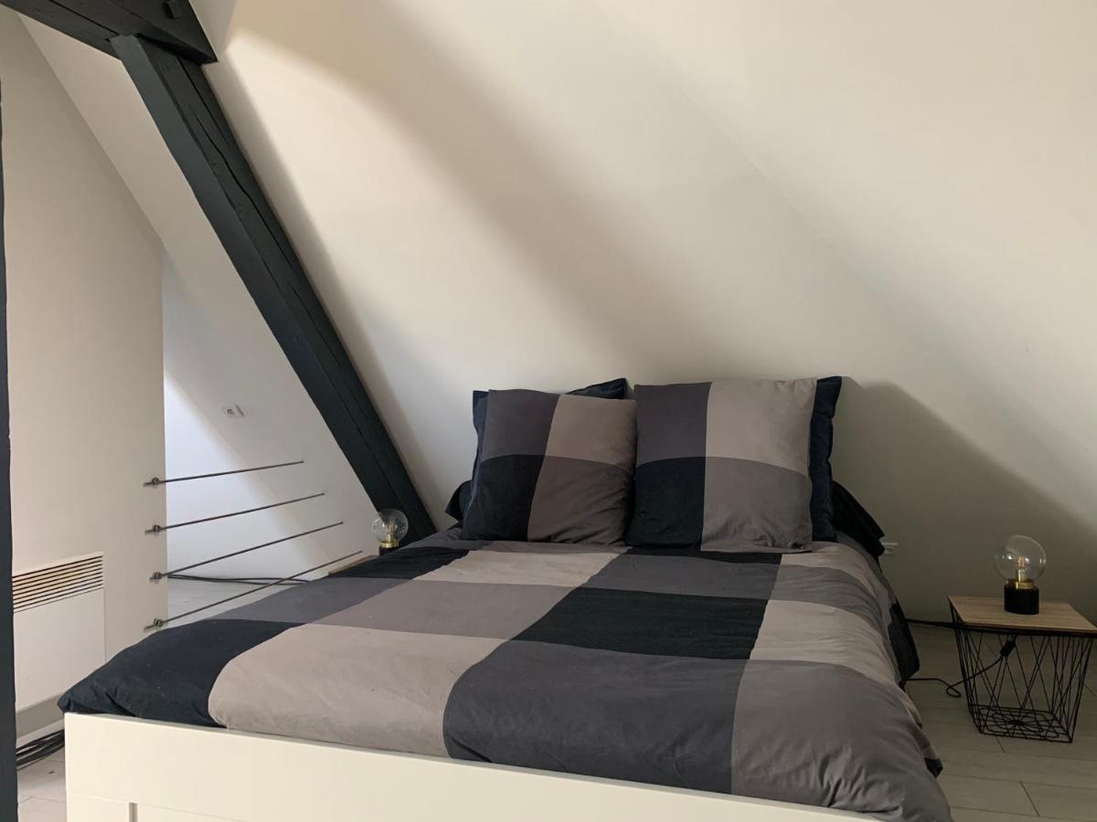 Cocoon Loft Apartman Colmar Kültér fotó